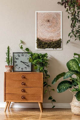 Moos bild Holzmaserung