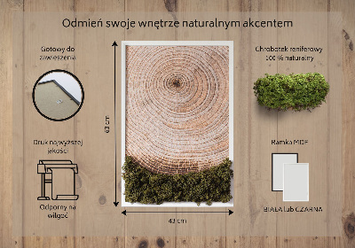 Moos bild Holzmaserung