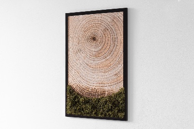 Moos bild Holzmaserung