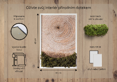Moos bild Holzmaserung