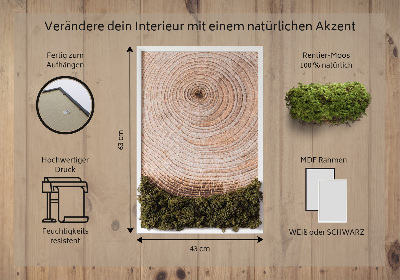 Moos bild Holzmaserung