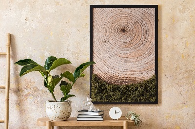 Moos bild Holzmaserung