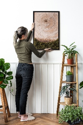 Moos bild Holzmaserung