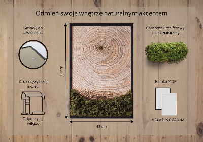 Moos bild Holzmaserung