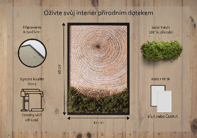 Moos bild Holzmaserung