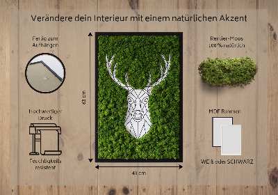 Moosbild lebend Geometrische Hirsche