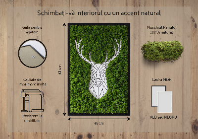 Moosbild lebend Geometrische Hirsche