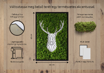 Moosbild lebend Geometrische Hirsche