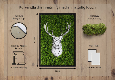 Moosbild lebend Geometrische Hirsche