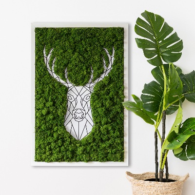 Moosbild lebend Geometrische Hirsche