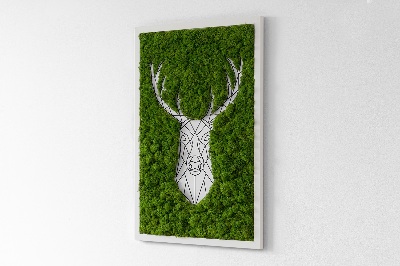 Moosbild lebend Geometrische Hirsche