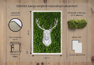 Moosbild lebend Geometrische Hirsche