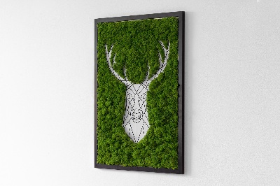 Moosbild lebend Geometrische Hirsche
