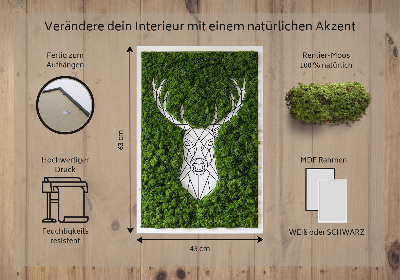 Moosbild lebend Geometrische Hirsche