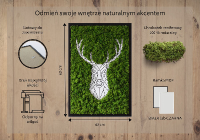 Moosbild lebend Geometrische Hirsche