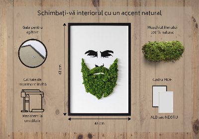 Moos bild Hipster mit einem Bart