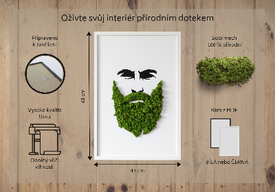 Moos bild Hipster mit einem Bart