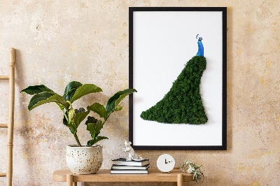 Moos bild Pfau