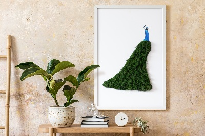 Moos bild Pfau