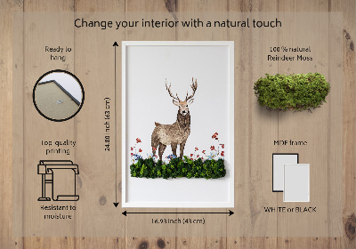Moos bild Hirsch unter Blumen