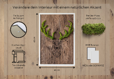 Moosbild lebend Hirschkopf auf einem hölzernen Hintergrund