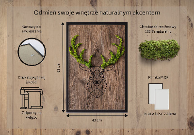 Moosbild lebend Hirschkopf auf einem hölzernen Hintergrund
