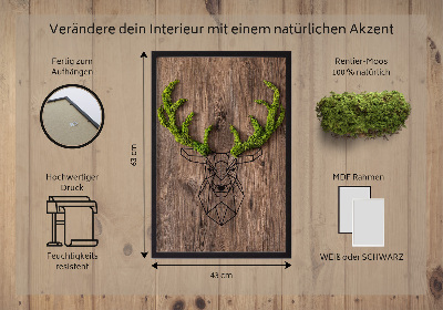 Moosbild lebend Hirschkopf auf einem hölzernen Hintergrund
