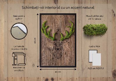 Moosbild lebend Hirschkopf auf einem hölzernen Hintergrund
