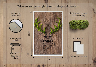 Moosbild lebend Hirschkopf auf einem hölzernen Hintergrund