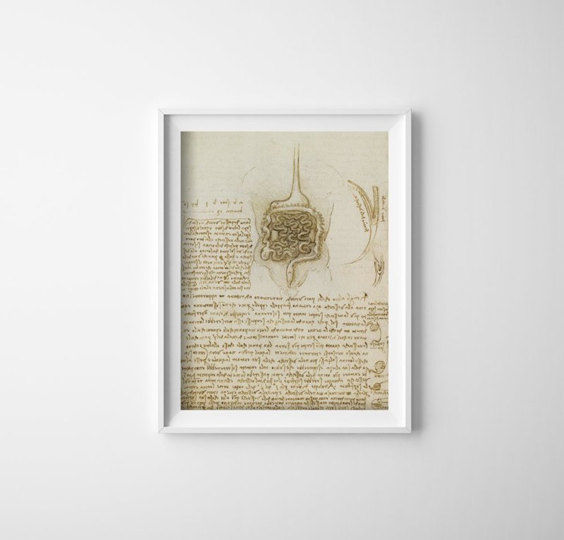 Poster Retro-Wohnzimmer Da Vinci Der Magen-Darm-Trakt und Blase
