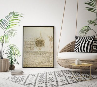 Poster Retro-Wohnzimmer Da Vinci Der Magen-Darm-Trakt und Blase