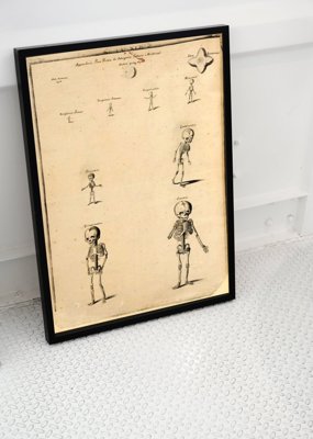 Weinleseplakat für das Wohnzimmer Skeleton John Fotherby'ego