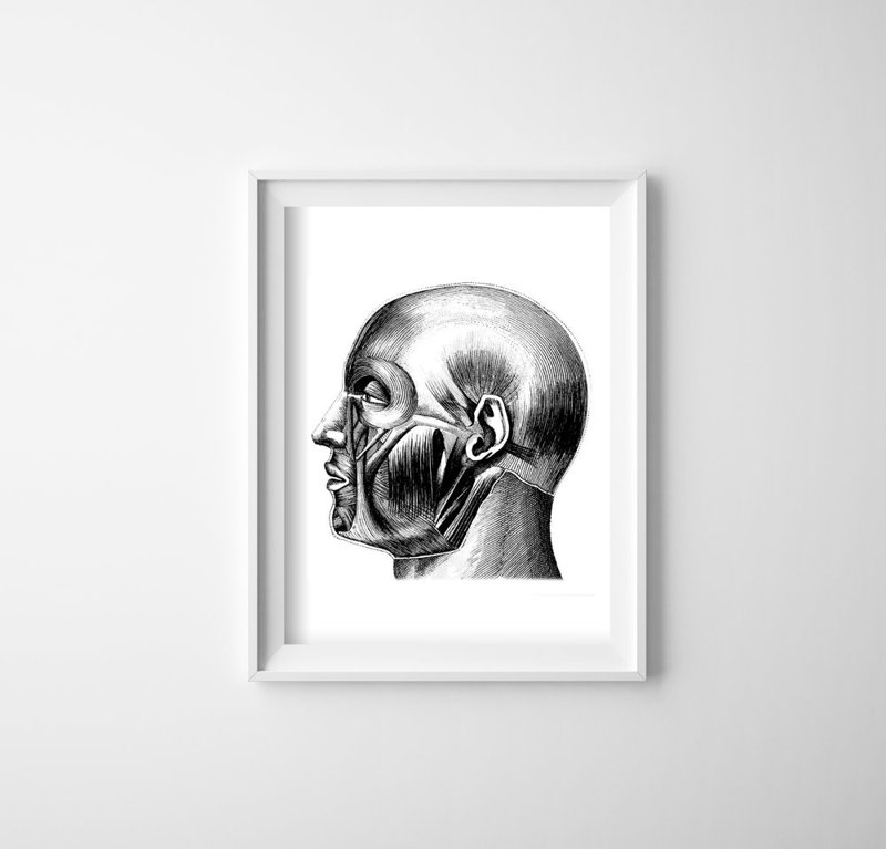 Poster im Retro-Stil Anatomische Kopf druckt Muskeln