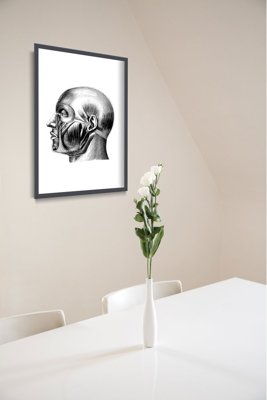 Poster im Retro-Stil Anatomische Kopf druckt Muskeln