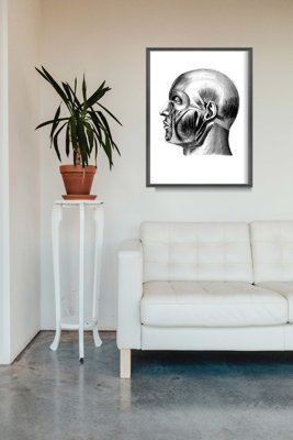Poster im Retro-Stil Anatomische Kopf druckt Muskeln