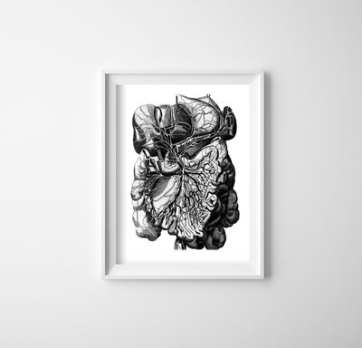 Poster Retro-Wohnzimmer Menschlicher anatomischer Muskel Druck