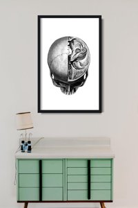 Poster an der Wand Anatomische Kopf druckt Skullt
