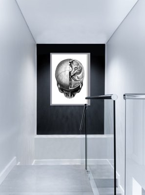 Poster an der Wand Anatomische Kopf druckt Skullt
