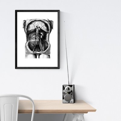 Plakat für den Frieden Skelett Illustration
