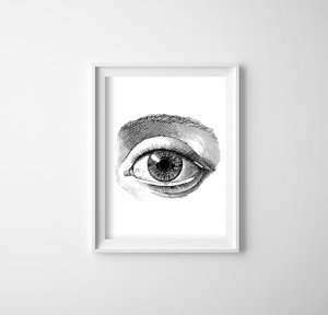 Retro-Poster Auge Anatomie