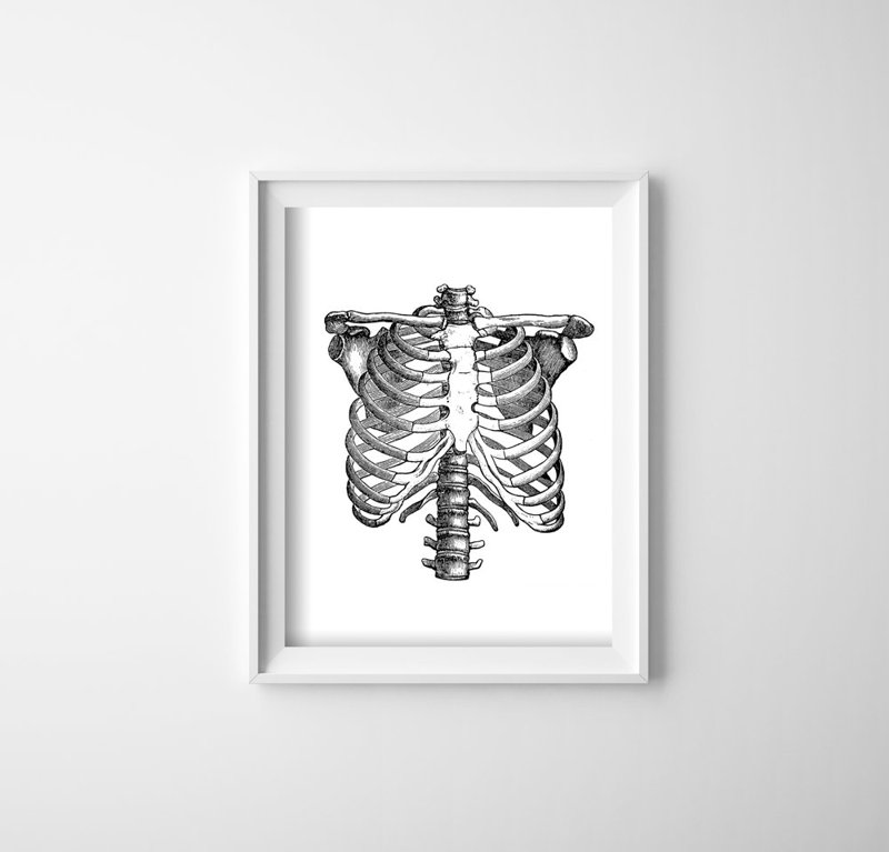 Poster im Retro-Stil anatomisches Skelett