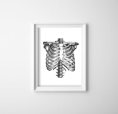 Poster im Retro-Stil anatomisches Skelett
