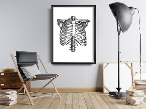 Poster im Retro-Stil anatomisches Skelett