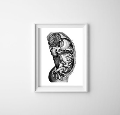 Poster Retro-Wohnzimmer Innere anatomische organ