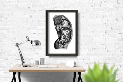 Poster Retro-Wohnzimmer Innere anatomische organ