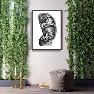 Poster Retro-Wohnzimmer Innere anatomische organ