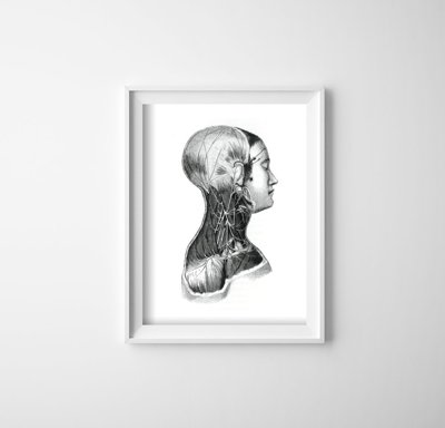 Poster im Retro-Stil Anatomische Drucke an den Nackenmuskeln
