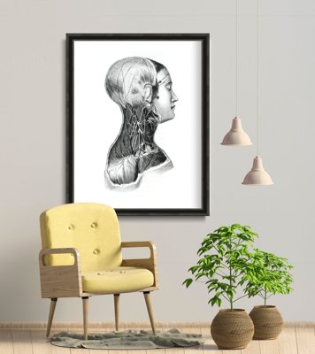Poster im Retro-Stil Anatomische Drucke an den Nackenmuskeln