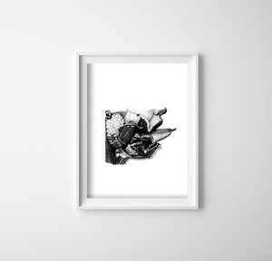 Poster an der Wand Anatomische druckt Mund Sprache