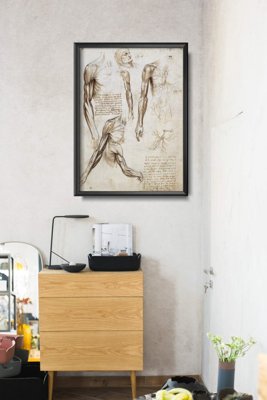 Plakat-Weinlese Die Muskeln der oberen Extremitäten Da Vinci